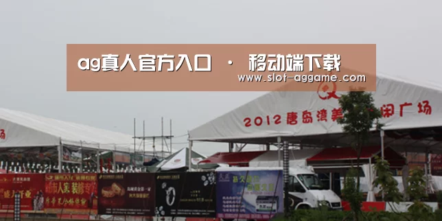 案例标题十(图1)