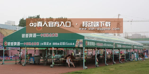 案例标题七