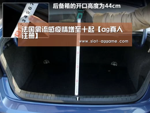 ag真人