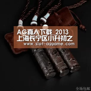 AG真人下载_2013上海长宁区小升初之娄山中学体育、艺术特长生招生方案 2014上海小升初参考(图3) ag真人注册