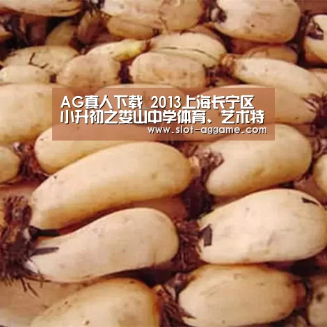 AG真人下载_2013上海长宁区小升初之娄山中学体育、艺术特长生招生方案 2014上海小升初参考(图2) ag真人
