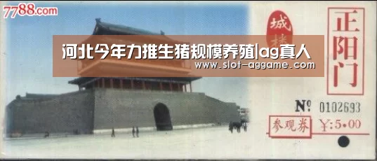 河北今年力推生猪规模养殖|ag真人(图3) AG真人下载