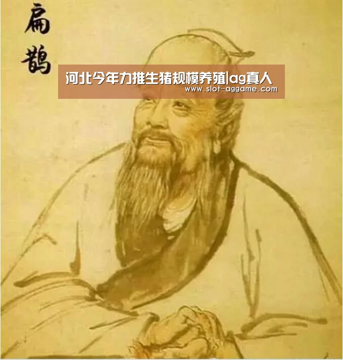 河北今年力推生猪规模养殖|ag真人(图4) AG真人下载