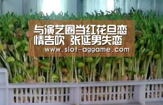 与演艺圈当红花旦恋情告吹 张延男失恋情歌《失去你》全网发布【ag真人注册】(图4) ag真人