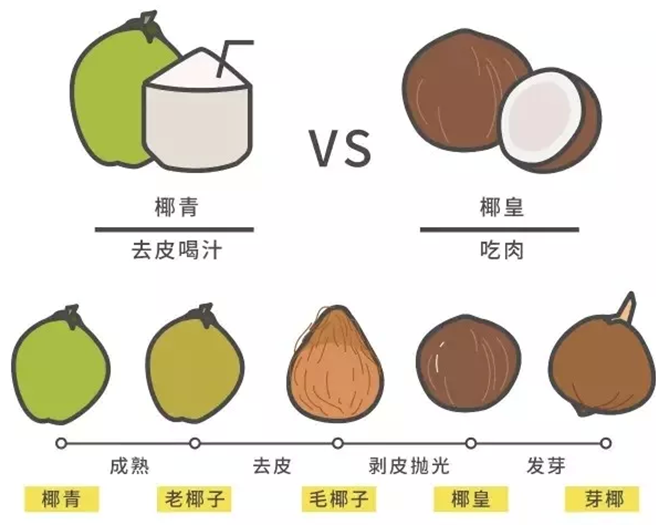 ag真人-感恩遇见感谢有你——淅川县滔河乡移民小学开展感恩主题班会活动(图3) ag真人入口