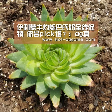 伊利蒙牛灼烁巴氏奶全线促销 你会pick谁?:ag真人(图2) ag真人注册